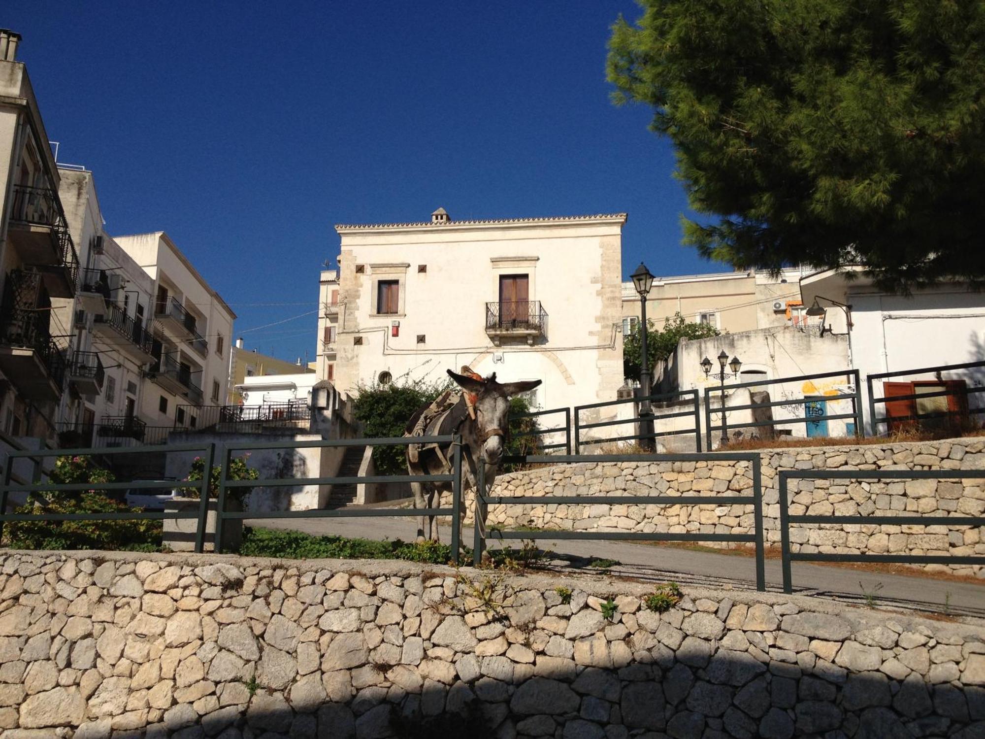 Case Vacanze Uliveto Mattinata Exterior foto