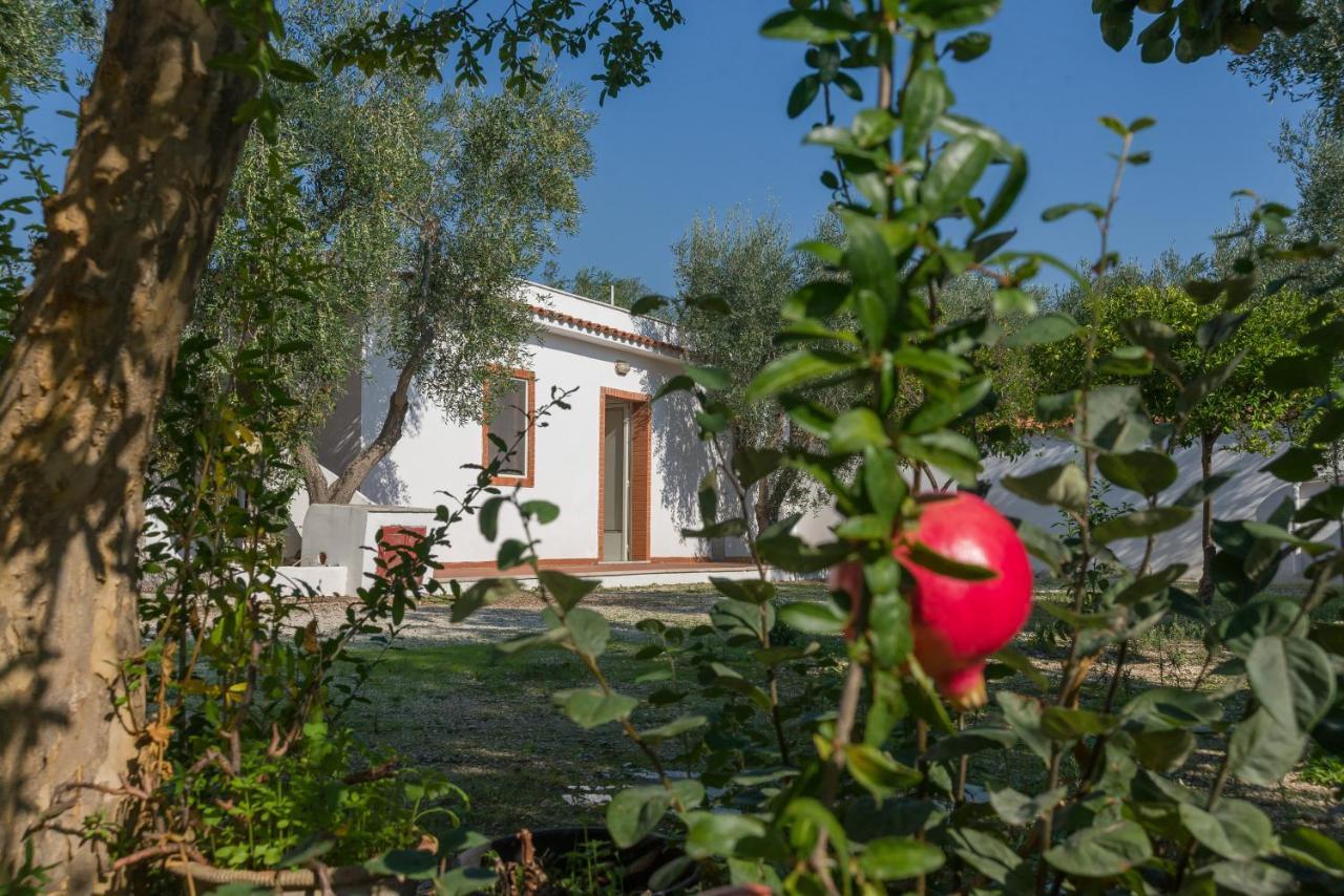 Case Vacanze Uliveto Mattinata Exterior foto