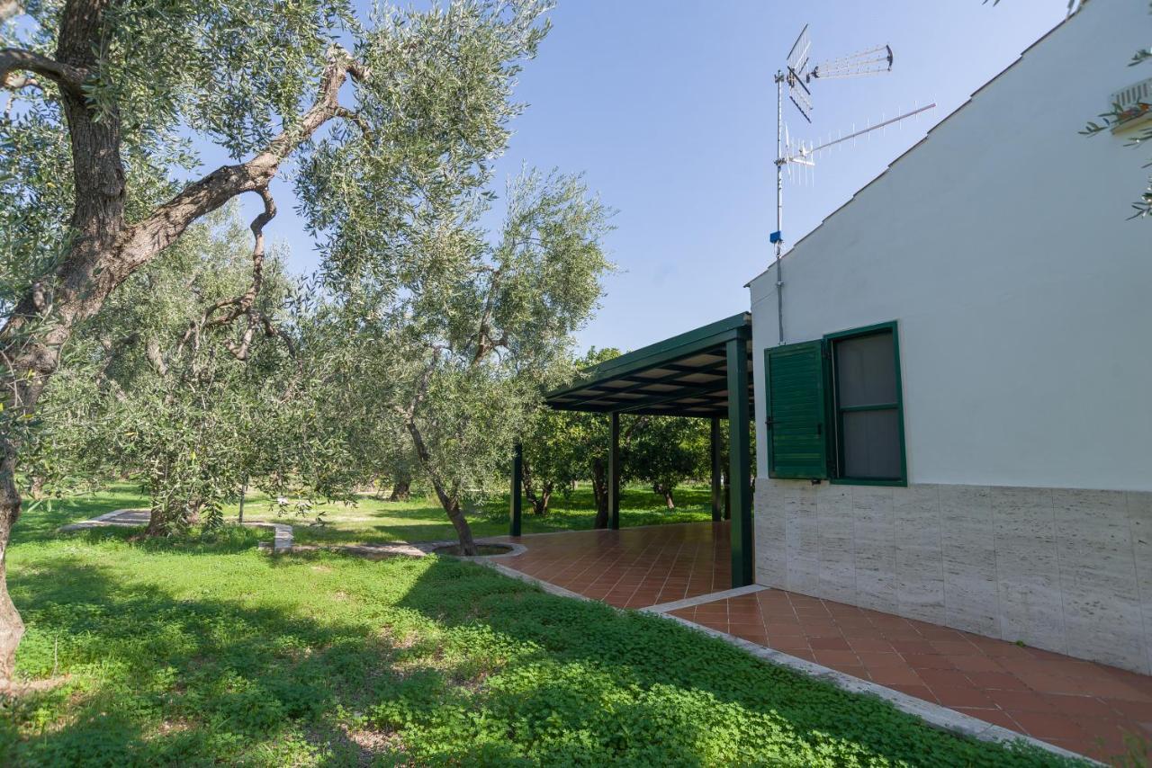 Case Vacanze Uliveto Mattinata Exterior foto